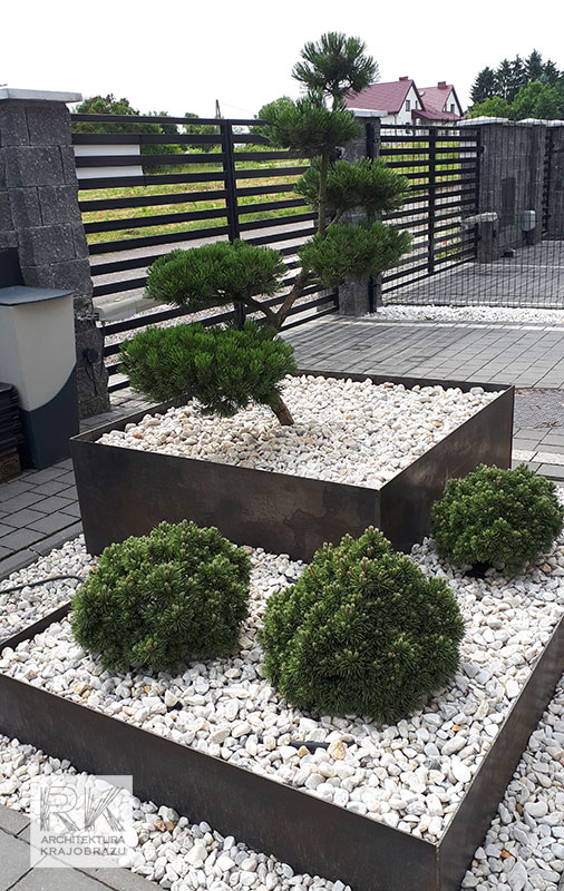 bonsai ogród w Lublinie